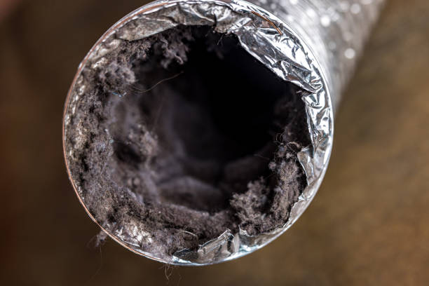 Best Air Duct Inspection  in Glenwood, IA