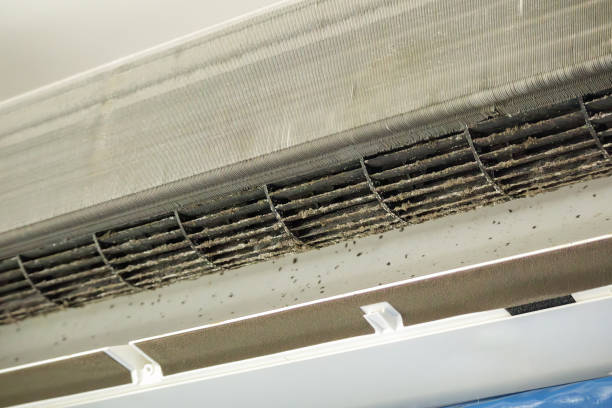 Best Residential Air Duct Cleaning  in Glenwood, IA